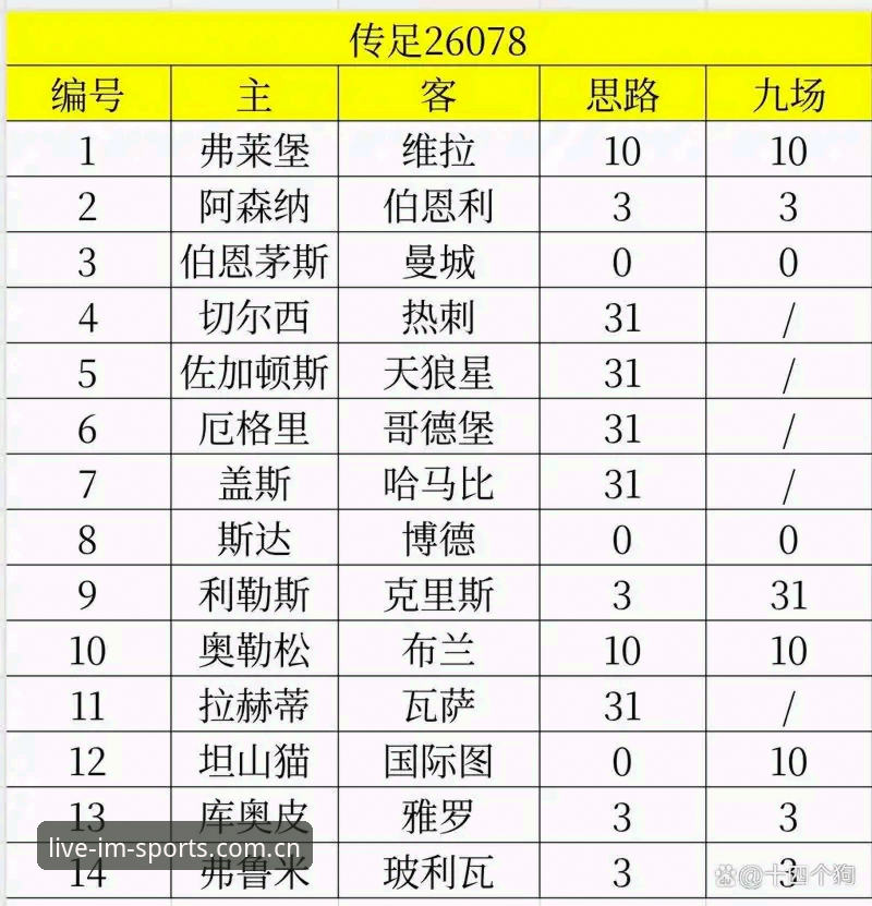 欧联杯决赛战报解读：维拉3-0弗赖堡夺冠全视角体验指南
